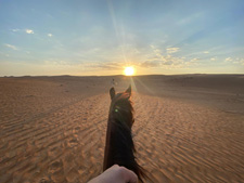 Oman-Ash Sharqiyah-Wahiba Desert Ride